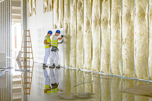 Best Geographic-Specific Insulation Services in USA